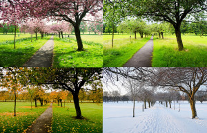 the-four-seasons